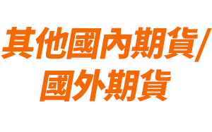 其他國內期貨/國外期貨